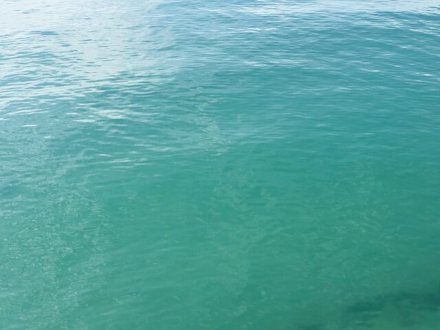 Gorey Blue Sea Jersey