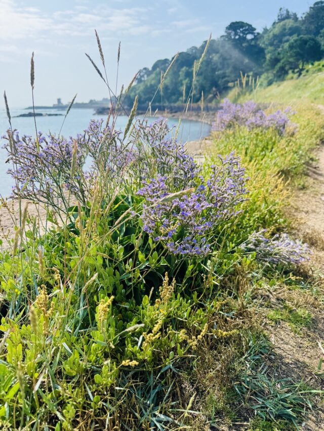 Jersey Coastal Walk